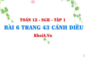 Bài 6 trang 43 Toán 12 tập 1 Cánh Diều